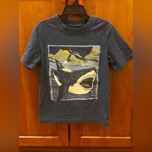 Carters Boys size 5 short sleeve tee